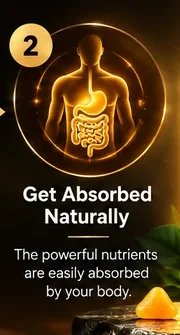 Step 2 of 4: get absorbed naturally