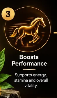 Step 3 of 4: boost performance